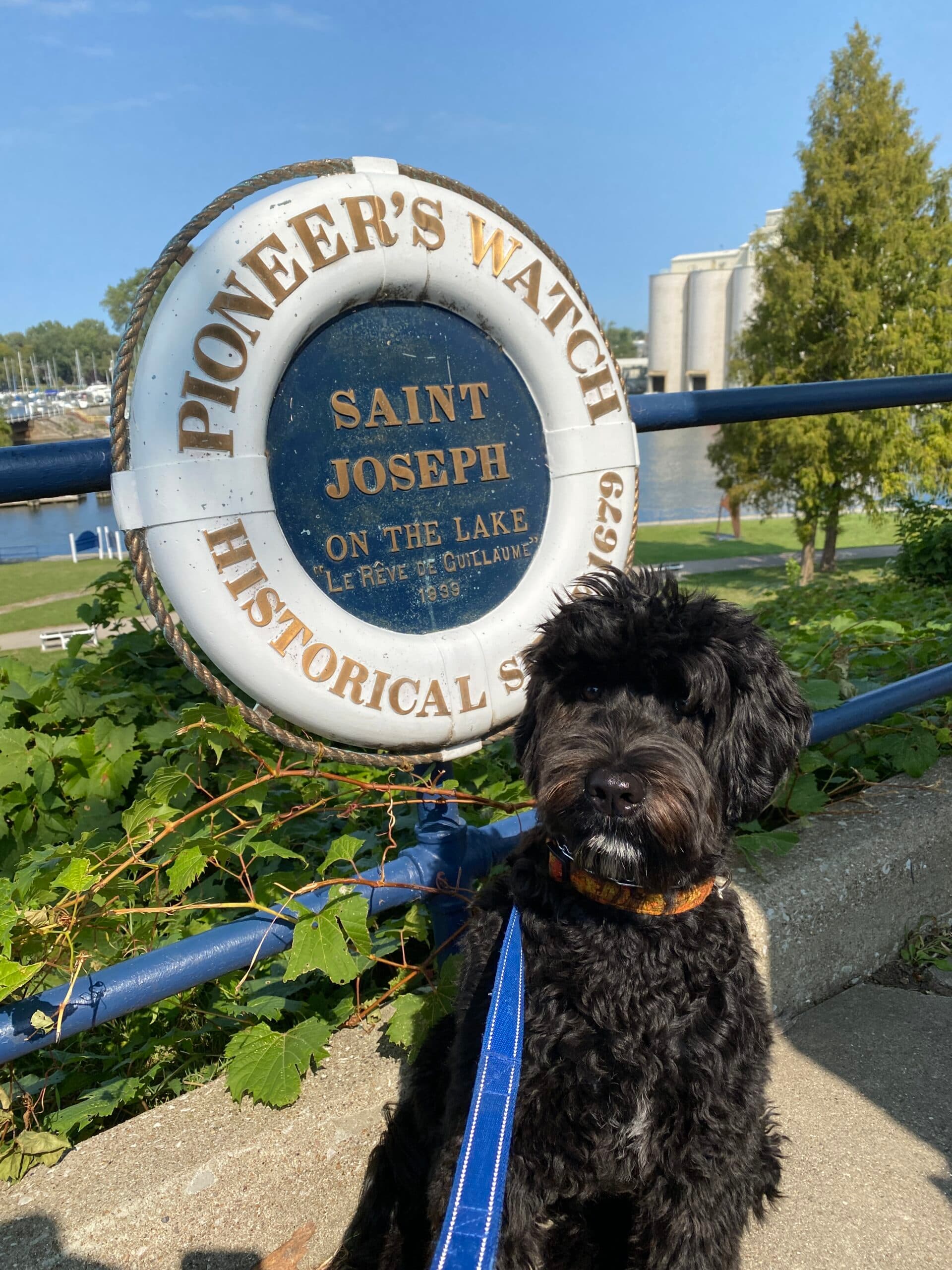Dog at the Saint Joseph sign